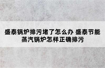 盛泰锅炉排污堵了怎么办 盛泰节能蒸汽锅炉怎样正确排污